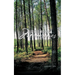 Piney Woods Memories
