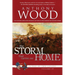 The Storm That Carries Me Home: A Story of the Civil War