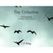 The Collective: Photography Coffee Table Book