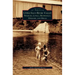 Upper Saco River Valley: Fryeburg, Lovell, Brownfield, Denmark and Hiram