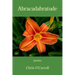 Abracadabratude