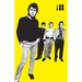 I Was a Teenage Sex Pistol
