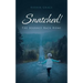 Snatched!: The Journey Back Home
