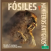 Fósiles Y Mamíferos Antiguos (Fossils and Ancient Mammals)