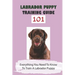 Labrador Puppy Training Guide 101: Everything You Need To Know To Train A Labrador Puppy: Leash Training Tips For Labrador