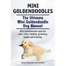Mini Goldendoodles. The Ultimate Mini Goldendoodle Dog Manual. Miniature Goldendoodle book for care, costs, feeding, grooming, health and training.