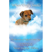 When Duffy Smiles: The Adventures of Duffy the Canine Angel