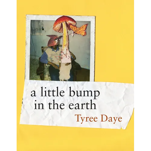 A Little Bump in the Earth