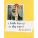 A Little Bump in the Earth