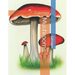 Mushrooms: Coloring