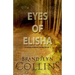 Eyes Of Elisha