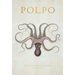 Polpo: A Venetian Cookbook (of Sorts)