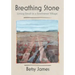 Breathing Stone: Living Small in a Southwest Village
