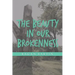 The Beauty in Our Brokenness