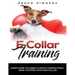 E Collar Training: Everything You Need to Know to Effectively Train Your Dog with an E Collar