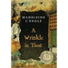 A Wrinkle in Time: (Newbery Medal Winner)