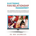 Electronic Fan Relationship Management: How a Professional Sports Team Can Successfully Use the Internet to Manage and Develop Fan Relationships
