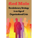 Revolutionary Strategy in an Age of Organizational Crisis