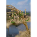 The Wind in the Willows: A Play: A Play in Two Acts for Young Actors