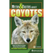 Myths & Truths about Coyotes: What You Need to Know about America's Most Misunderstood Predator