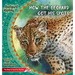 How the Leopard Got His Spots: The Best of Just So Stories