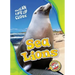 Sea Lions