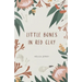 little bones in red clay