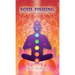 Soul Fishing: A Theory on Harmonizing the Human Experience
