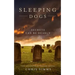 Sleeping Dogs