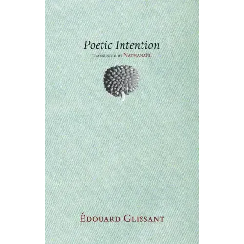 Poetic Intention