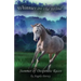 Summer of Desperate Races: A Wilderness Horse Adventure