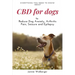 CBD For Dogs: To Reduce Dog Anxiety, Arthritis Pain, Seizure and Epilepsy