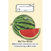 Composition Book: Wide Rule- Watermelon