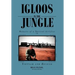 Igloos in the Jungle: Memoirs of a Tactical Airlifter in Vietnam and Beyond