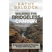 Walking the Bridgeless Canyon: Repairing the breach between the Church and the LGBT community: A Discussion Guide for Personal, Group & Bible Study U