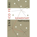 Elementary Particles
