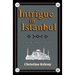 Intrigue in Istanbul: An Agnes Kelly Mystery Adventure