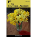 The Daffodil Mystery