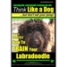Labradoodle, Labradoodle Training AAA AKC: Think Like a Dog, But Don't Eat Your Poop! Labradoodle Breed Expert Training: Here's EXACTLY How To TRAIN Y