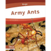 Army Ants