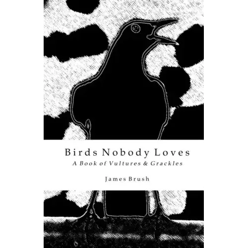 Birds Nobody Loves: A Book of Vultures & Grackles