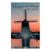 My Lady of Orange: Historical Novel