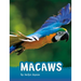 Macaws