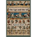 The Ego and the Id - First Edition Text