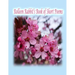 Rolleen Rabbit's Book of Short Poems