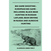 Big Game Shooting - European Big Game - Including: Black Bear Hunting In Russian Lapland, Bear Driving In Russia And Aurochs Hunting