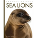 Sea Lions