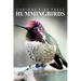 Hummingbirds - Curious Kids Press: Kids book about animals and wildlife, Children's books 4-6