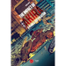 The Impact of Akira: A Manga (R)Evolution