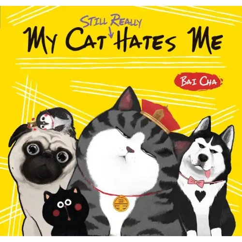My Cat Still Really Hates Me